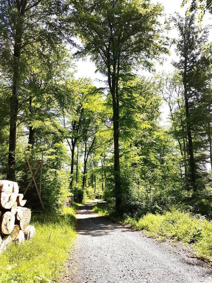 Steewer Landhaus Gemuetliche Ferienwohnung Bis 6 Pers In Ruhiger Ortsrandlage Stebach Екстериор снимка