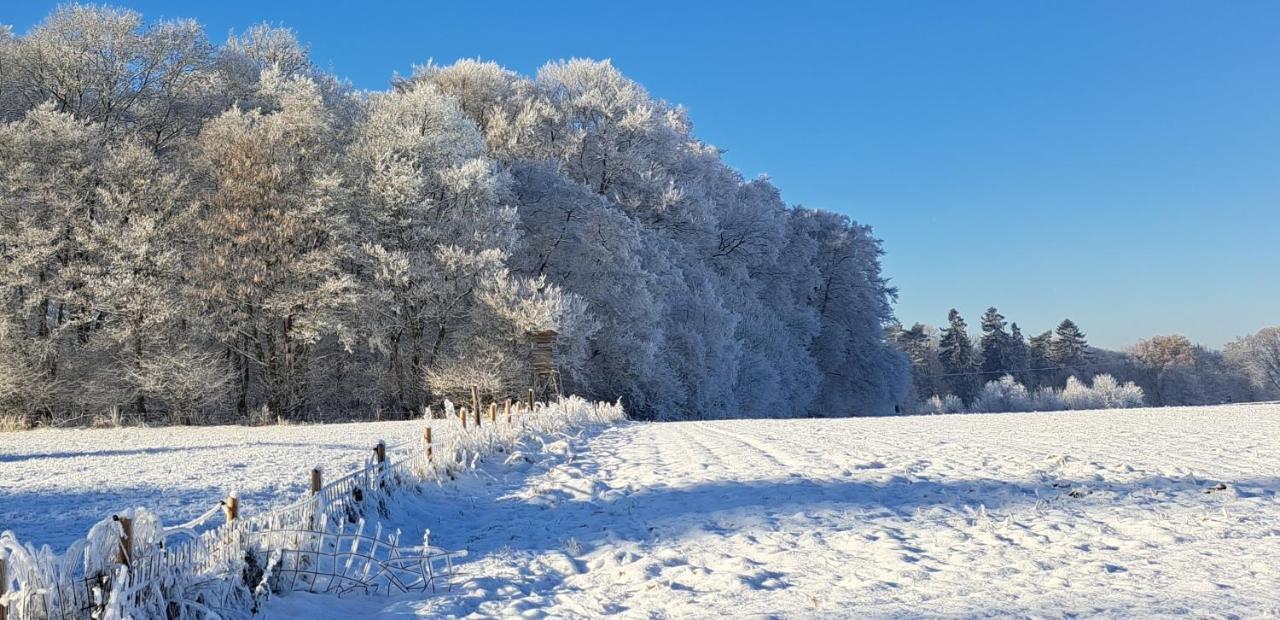 Steewer Landhaus Gemuetliche Ferienwohnung Bis 6 Pers In Ruhiger Ortsrandlage Stebach Екстериор снимка